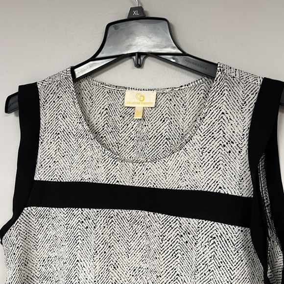 Creative Concepts Black and White sleeveless blouse, black accent stripes size M - Picture 6 of 8